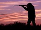 Hunting & Archery